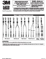 3M | DBI-SALA ShockWave 2 Force2 Lanyard Manual